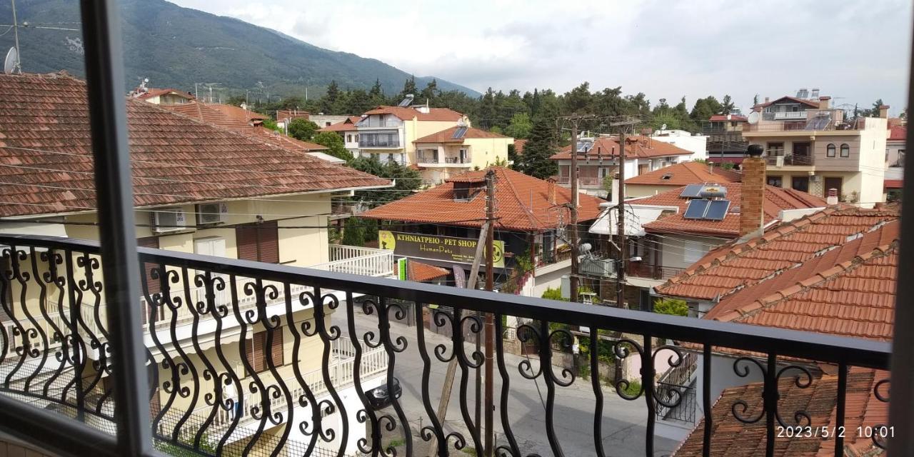 Toula Apartment Λιτόχωρο Εξωτερικό φωτογραφία